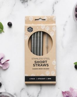 Ever Eco Stainless steel short straw