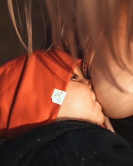 Breastfeeding & Pregnancy